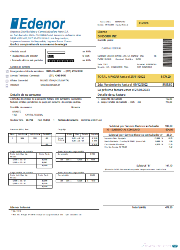 Download Edenor easy to fill utility business bill SCR Photoshop template